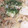 クックQZJ84E☆'s cooksnap of when they made もやしとツナのマヨ炒め.