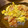 ♪ミチル♪'s cooksnap of when they made トマトふわっ！の卵旨！簡単1品.
