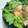 ☻︎'s cooksnap of when they made カリッと香ばしい！たらの中華風から揚げ.