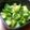 くらま's cooksnap of when they made ♦ラー油と胡瓜だけ！胡瓜のぽりぽり♦.