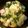 shippo85's cooksnap of when they made チンゲンサイのオイル蒸し.