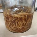 こぅちぃ's cooksnap of when they made 生姜の保存(酢生姜).