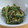 柊さくら's cooksnap of when they made 作りおき常備菜♪ゴーヤの中華風和え物.