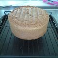 ☆naoshin☆'s cooksnap of when they made しっとりフワフワチョコスポンジ.