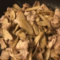 ジュリJD's cooksnap of when they made 男子も満足♪ごぼう・豚肉・しらたき炒め.