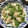 pocky☆☆☆'s cooksnap of when they made 豚丼ゆずこしょう風味（腎臓病食）.