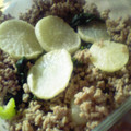 maruru-nn's cooksnap of when they made 大根と青梗菜の中華そぼろあん.