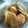 maruru-nn's cooksnap of when they made コクウマ★牛蒡と鶏の照り照り煮.