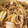 まなここちゃん's cooksnap of when they made 簡単！ すき焼きのタレでつゆだく牛丼！.