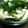 アレキサンドライト's cooksnap of when they made ニラの煮物.