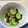 ぽりん⭐︎'s cooksnap of when they made きゅうりとタコの和え物.