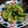 レンジレシピ漁り中…'s cooksnap of when they made オクラ・きゅうりの生姜和え♪生姜が香る♪.