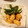 きょんきょん◎'s cooksnap of when they made 鶏肉と万願寺とうがらしのさっぱり煮.