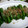 新妻あや's cooksnap of when they made シンプルが１番★　しし唐の焼いただけ.