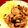 おきょうねえ's cooksnap of when they made 塩糀しょうが焼き.