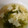れんれんとまま's cooksnap of when they made 白だしで簡単☆めかぶとえのきのお吸い物.