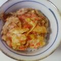 やしゅう's cooksnap of when they made かき揚げ丼.