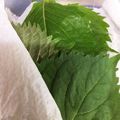 ティムル's cooksnap of when they made ☆簡単保存☆ 大葉の傷みにくい保存方法.