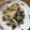☆しづ姉☆'s cooksnap of when they made 激ウマおつまみ☆ヤゲンのねぎ塩だれ炒め.