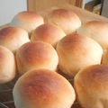 あさひなたろう's cooksnap of when they made ＨＢ☆ヤクルトの食パン.