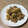 亜久里's cooksnap of when they made 定番ごはん♡鶏の照り焼き.
