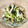 KAKO_KAKO's cooksnap of when they made 塩昆布で簡単！きゅうりとかまぼこの塩揉み.