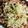 クックWCL4C4☆'s cooksnap of when they made イカのげそ天.