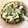 ★みーちゃんママ★'s cooksnap of when they made ゴーヤとちくわのわさびごまマヨ和え.