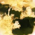 いづみき's cooksnap of when they made わかめと卵のスープ.