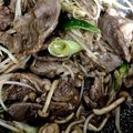yuzuruede's cooksnap of when they made 簡単！牛肉ときのこのジンジャーソテー.