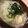 ぎんはる's cooksnap of when they made 簡単5分！大満足☆ダイエット中華スープ.