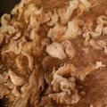 sei460407's cooksnap of when they made 【簡単】豚こまと春雨の甘辛煮.