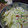 なおーみ☆'s cooksnap of when they made 白菜とリンゴのマヨ和え.