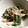 ちづりんも's cooksnap of when they made ささみとピーマンのおかかあえ.