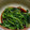 ミラクルクルygro's cooksnap of when they made 超簡単ほうれん草のごま和え風お浸しё.