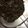 coto♪♪♪'s cooksnap of when they made 甘くない♪ごはんのすすむ大葉味噌♡.