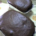 めざせ料理好き's cooksnap of when they made ホットケーキミックスでかるいチョコケーキ.
