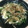 ゆきな37's cooksnap of when they made さっぱり☆ゴーヤとみょうがのおかかサラダ.