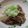 おりょせん's cooksnap of when they made ☆牛肉おろし☆.