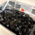 暴走インコ's cooksnap of when they made 貝の冷凍保存♪.