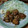 小澤家's cooksnap of when they made 簡単やみつき♪名古屋手羽先風唐揚げ★.