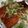 ☆yuppi☆'s cooksnap of when they made 美味しいうなぎ丼*ダレの作り方♪.