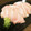 ☆はあ☆'s cooksnap of when they made １行レシピ　食べるわさび　塩わさび.