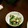 サトモユリア's cooksnap of when they made 5分で完成！ほうれん草とえのきのおひたし.