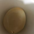 ma___111's cooksnap of when they made お酒のアテに☆酒粕玉子.