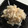 azkjsr's cooksnap of when they made 簡単♪大根の明太子マヨサラダ.