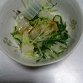 かぴたタン's cooksnap of when they made 白菜と水菜がみるみる生き返るサラダ.