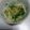かぴたタン's cooksnap of when they made 白菜と水菜がみるみる生き返るサラダ.
