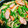 emily1022's cooksnap of when they made ダシダとマヨnoウインナピーえのき炒め.