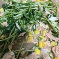 BIGぼんど's cooksnap of when they made 豆苗のツナマヨあえ.
